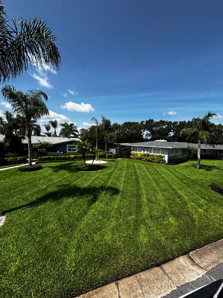 All Photos for Vanic's Landscaping in South Daytona, FL