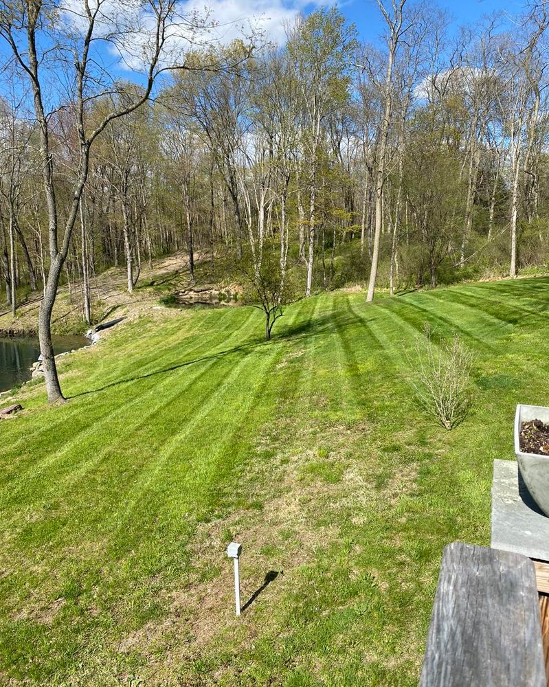 Lawn Care for Walton Property Services in Hyde Park , NY