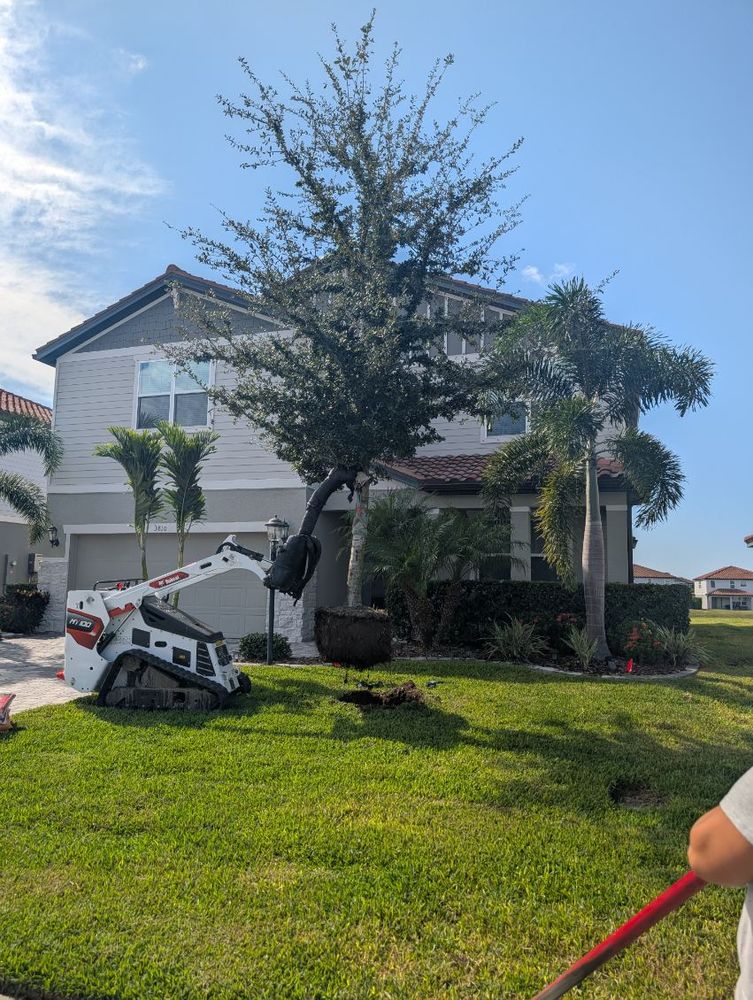 All Photos for Plant World LLC in Cape Coral, FL