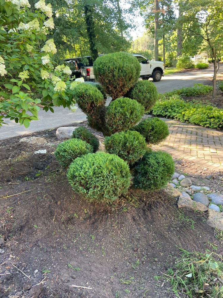 Shrub pruning can transform your property. Our experienced landscapers will rid your home overgrowth and keep your shrubs looking immaculate. for Reliable Landscape in Monclova, OH