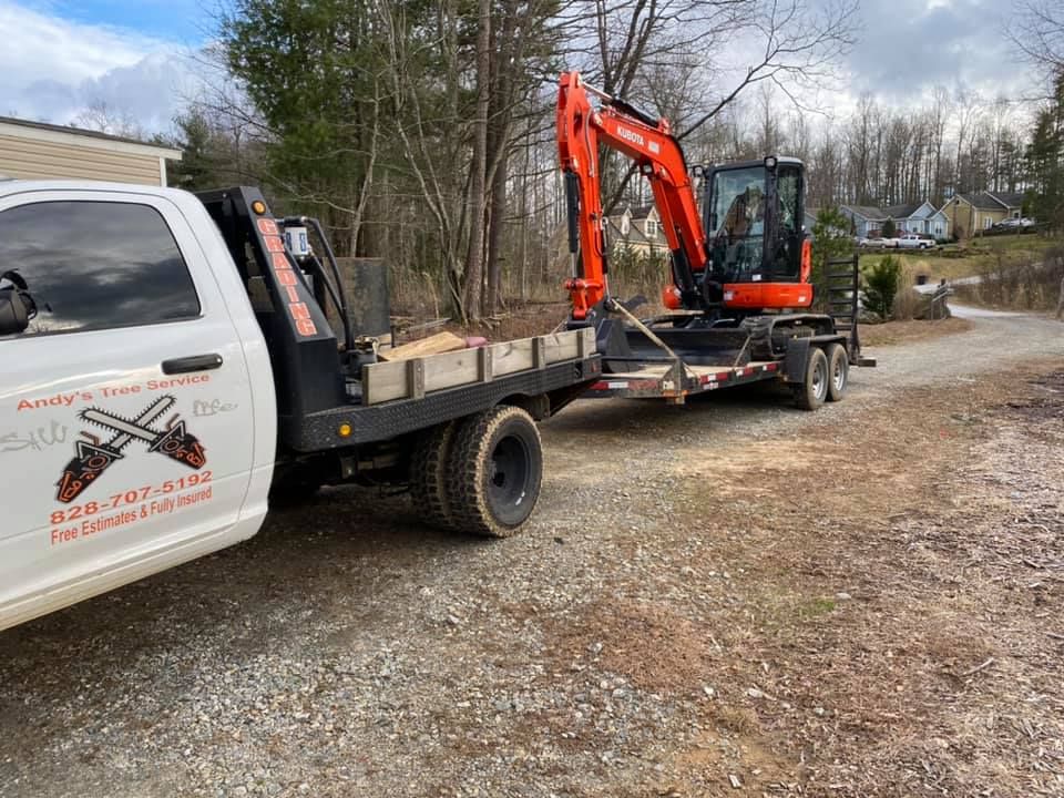 All Photos for Andy's Tree Service in Zirconia, NC