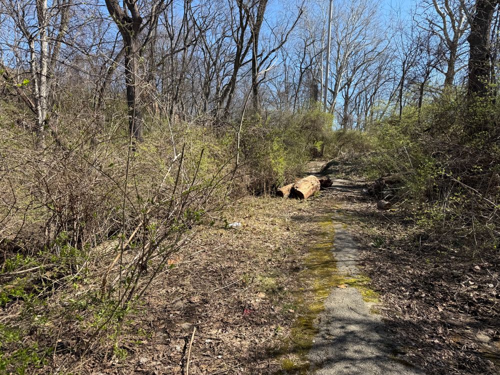 All Photos for A1 Bush Hogging & Lawn Service in London, OH