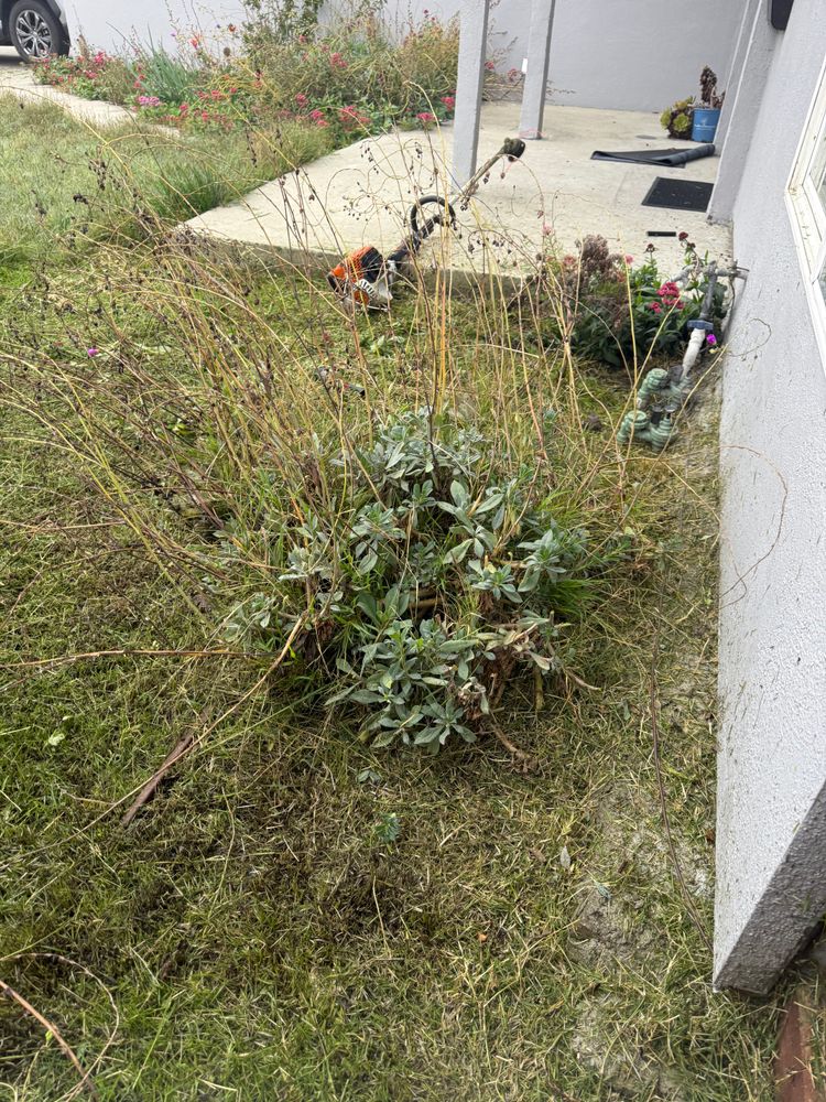 All Photos for CBA Landscaping in Hayward, CA