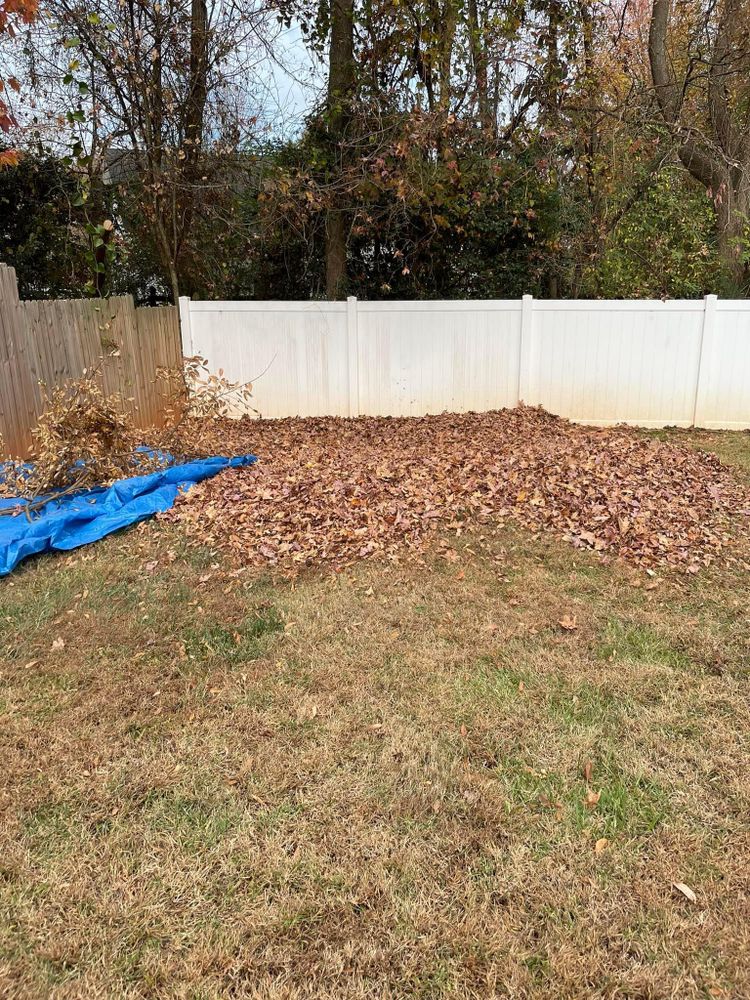 All Photos for Stem Tree Service in Belmont, NC
