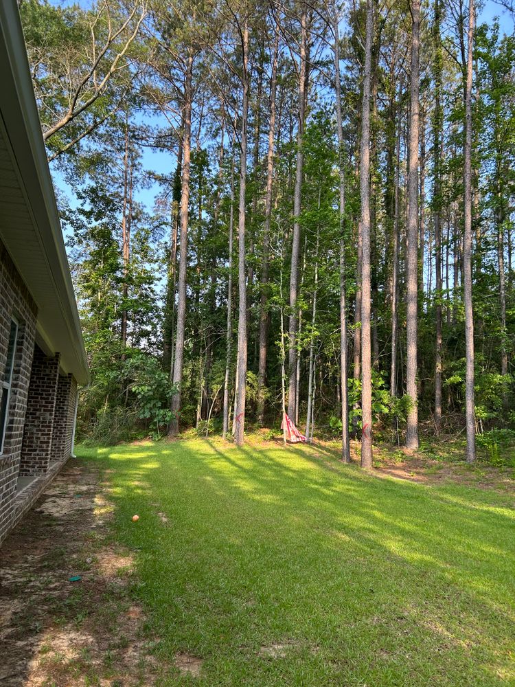 All Photos for Broadway & McMullen Construction in Hattiesburg, MS