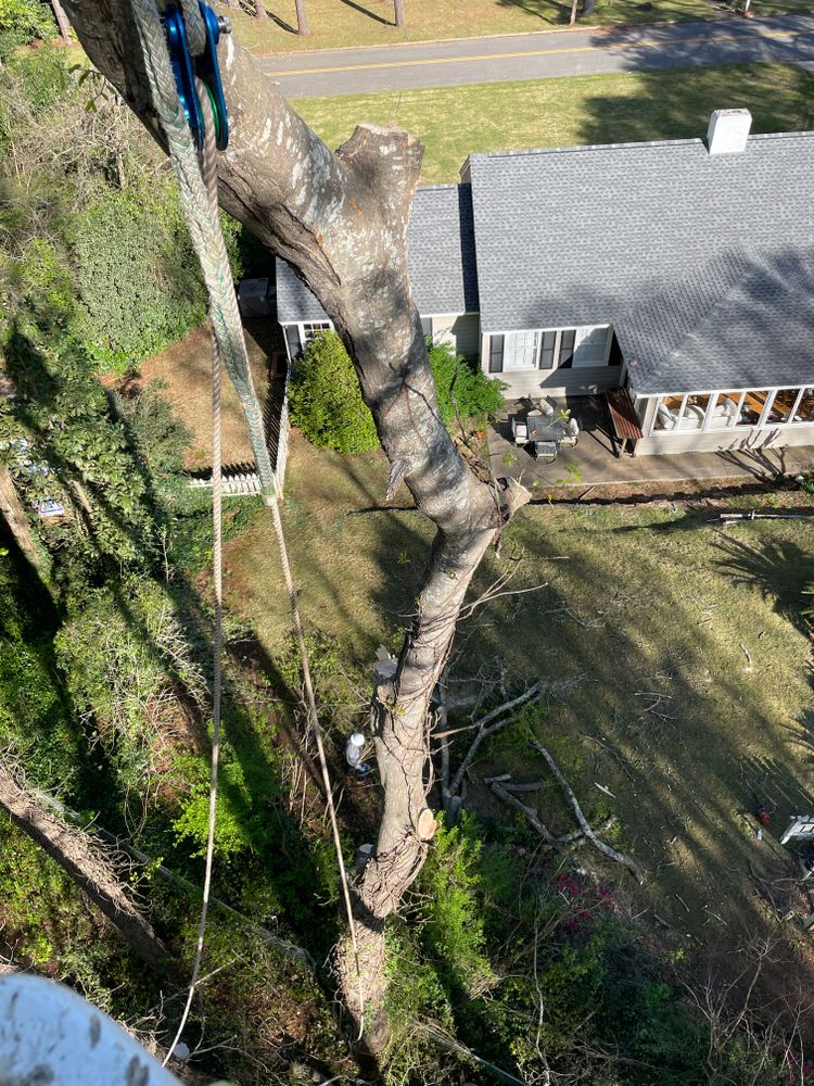 All Photos for ArborMax in Thomaston, GA