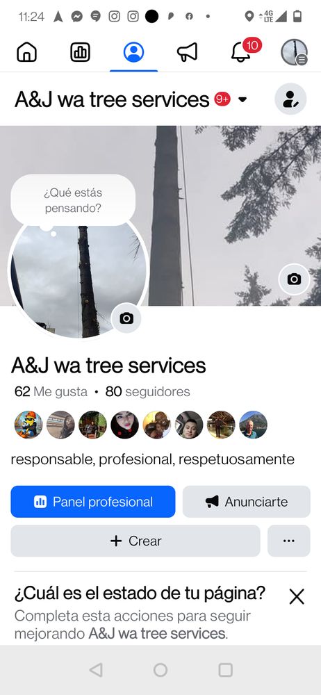 All Photos for A&J WA Tree Services in Kent, WA