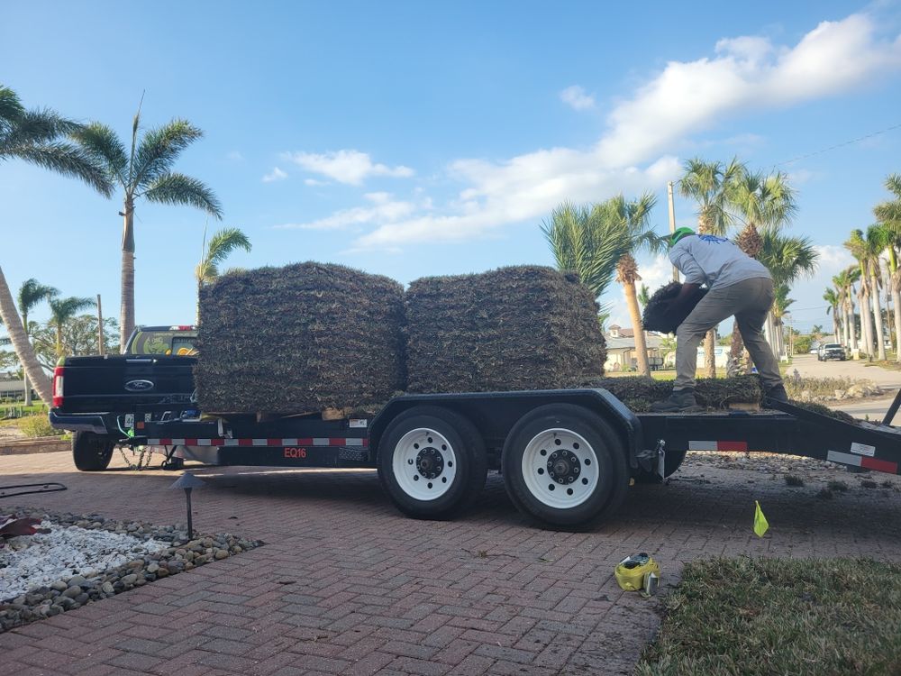 Sod installation  for Lawn Caring Guys in Cape Coral, FL