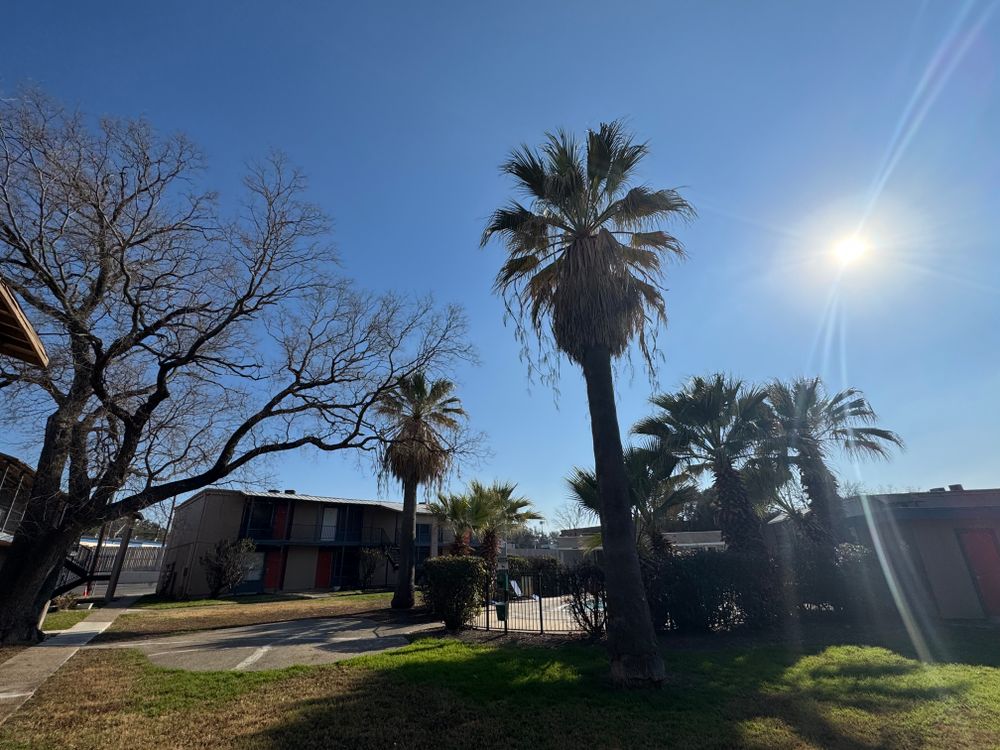 All Photos for DR Landscape in San Antonio, TX