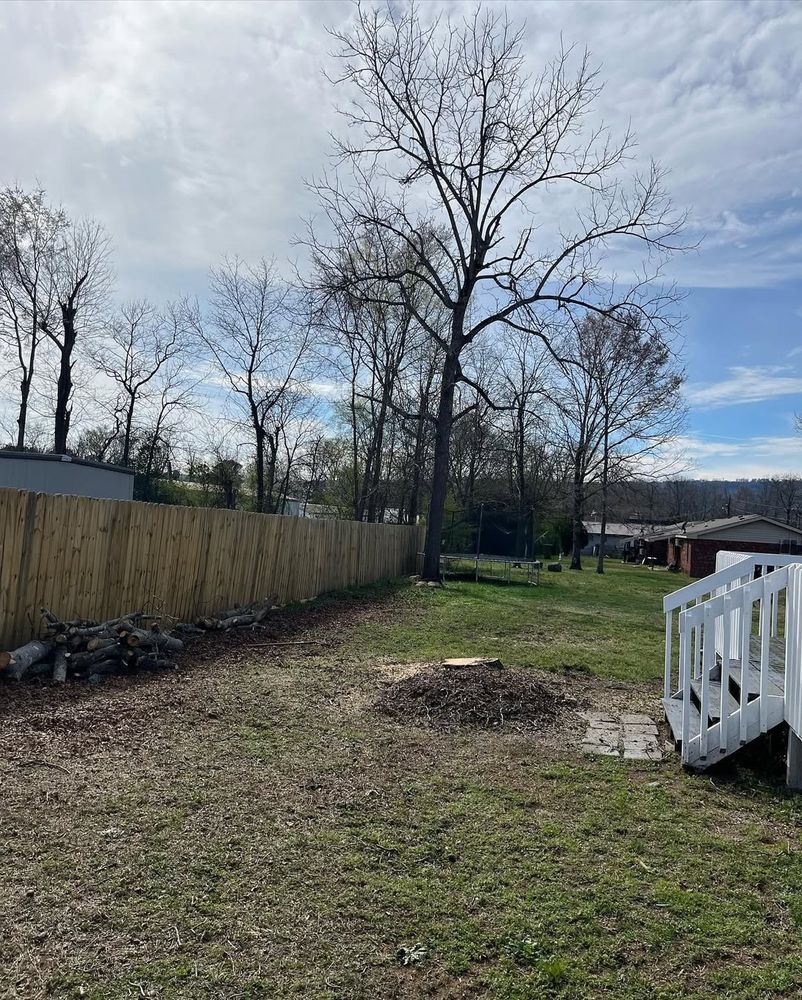 Our Tree Removal service expertly and safely eliminates unwanted or hazardous trees, ensuring the protection of your property while improving the overall health and appearance of your landscape. for Revival Tree Management in Chattanooga, TN