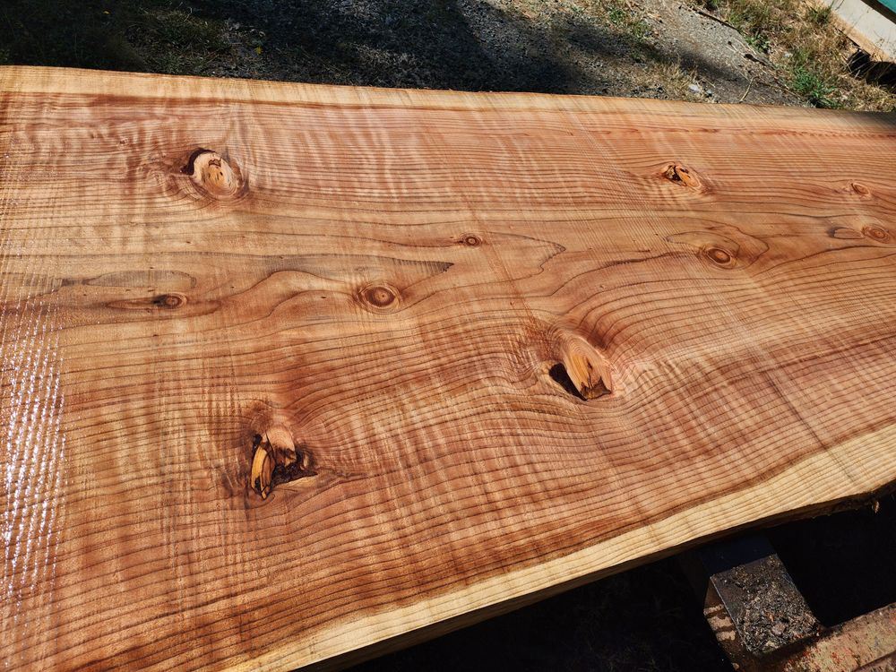 All Photos for The Baskins Sawmill in Port Angeles,  WA