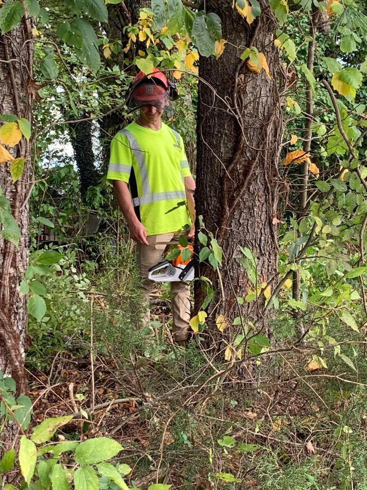 All Photos for Grayson Groundworks in Sevierville, TN