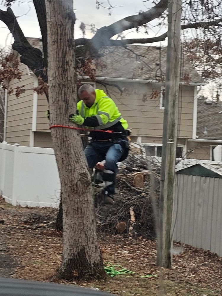 All Photos for Minnesota Seasonal LLC in Corcoran, MN