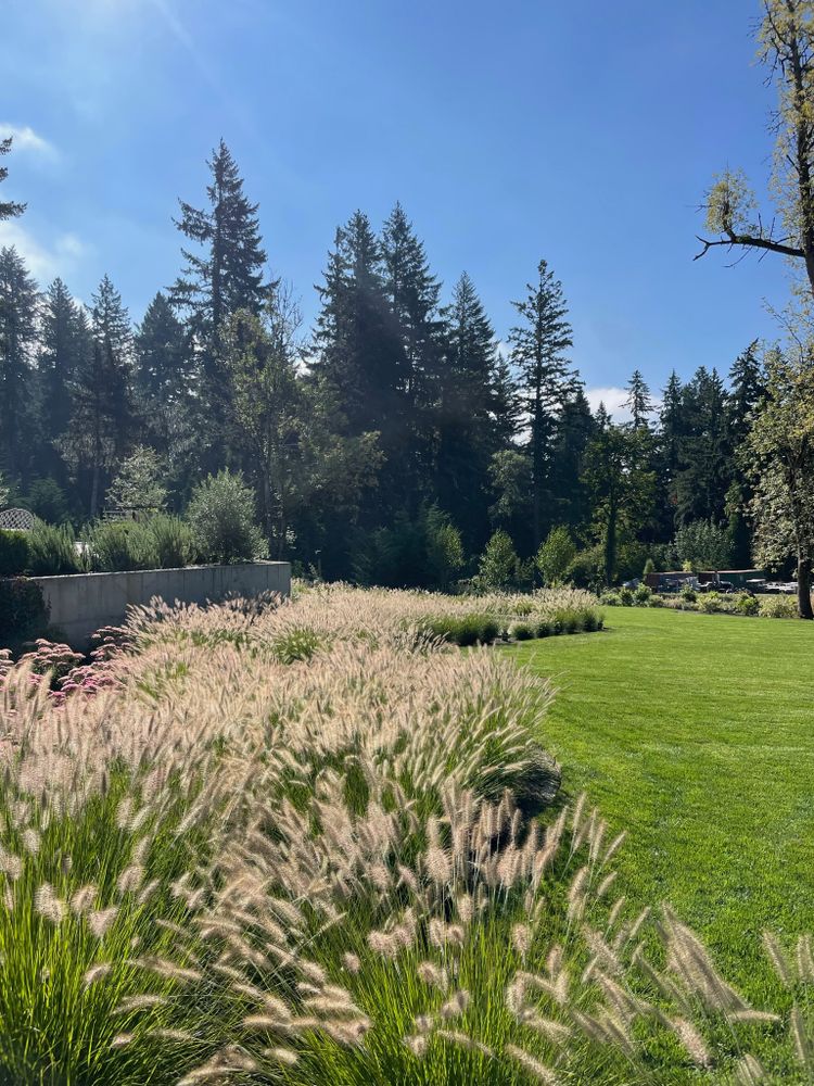 All Photos for Courtney Lewis Landscape Design in Portland, OR