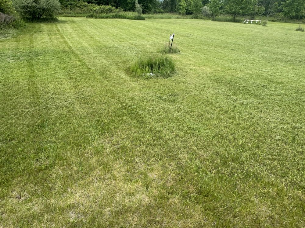 Landscaping Lawn Care for Daugherty's Tough Lawn Care in Essexville, MI