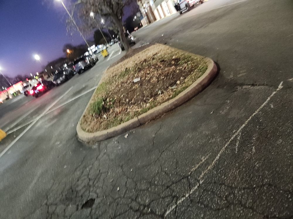 All Photos for Tidewater Tree Service in Chesapeake, VA