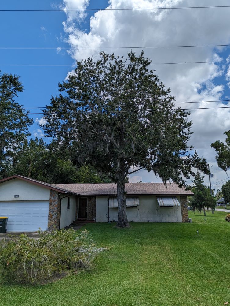 All Photos for Regal Tree Service and Stump Grinding in Wauchula, FL