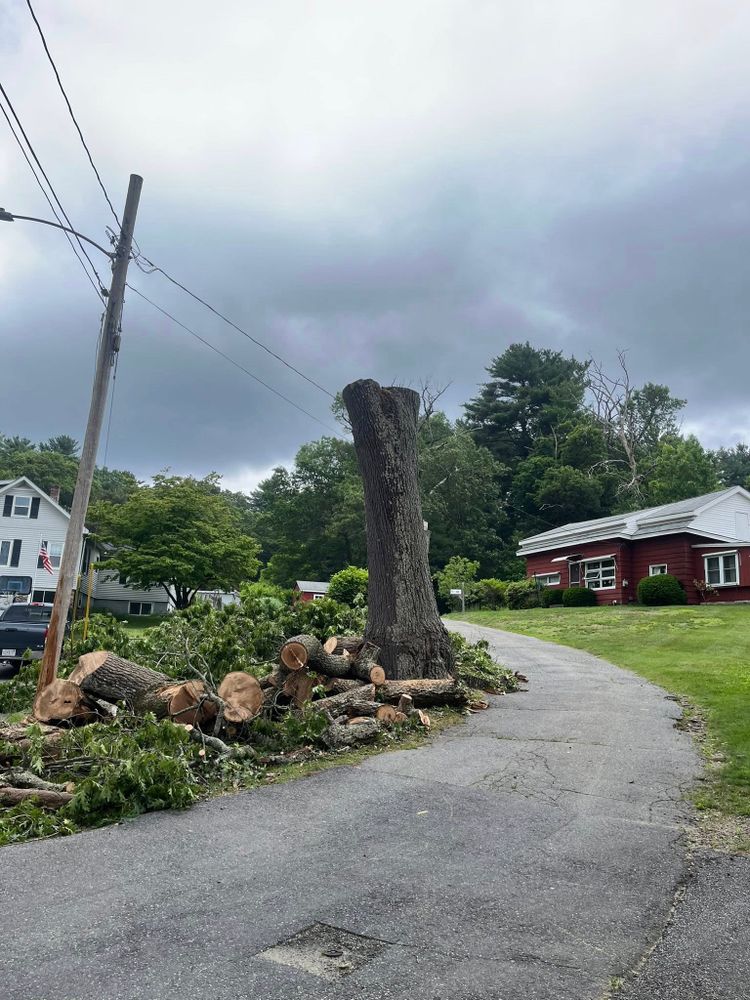 Tree Removal for Harley’s Tree Service in Palmer, MA
