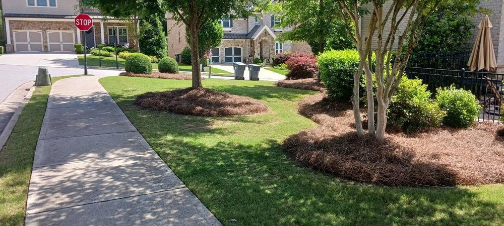 Enhance your landscape with our premium Pinestraw service, providing natural mulch that conserves moisture, reduces weeds, and enriches soil aesthetics for a vibrant and healthy yard all year round. for BAM Another Pinestraw Lot in Flowery Branch, GA