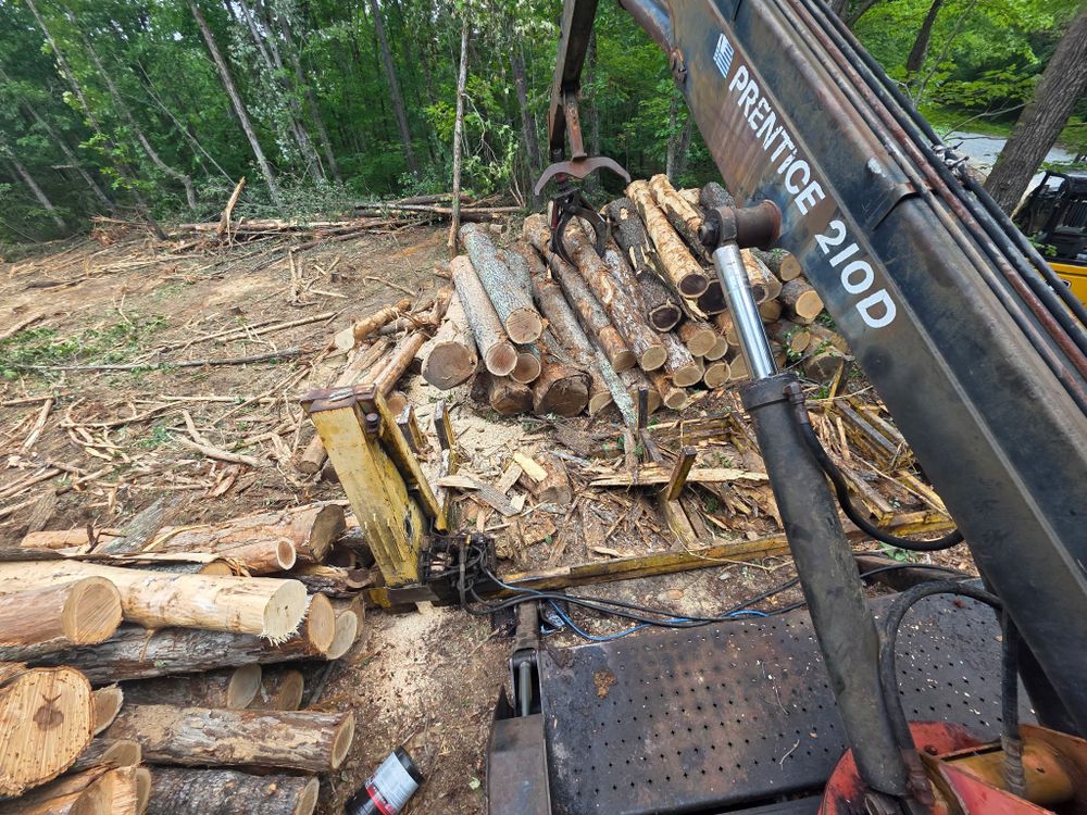 Our Tree Removal service safely clears hazardous, unwanted, or storm-damaged trees from your property using professional equipment and careful planning, protecting surrounding structures while preparing your site for excavation. for 9 Oaks Tree Service and Excavation in Drakes Branch, VA