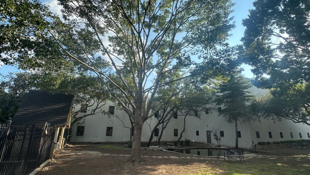 All Photos for DR Landscape in San Antonio, TX