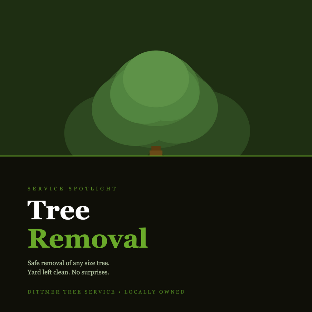 All Photos for Dittmer Tree Service in Davenport, IA