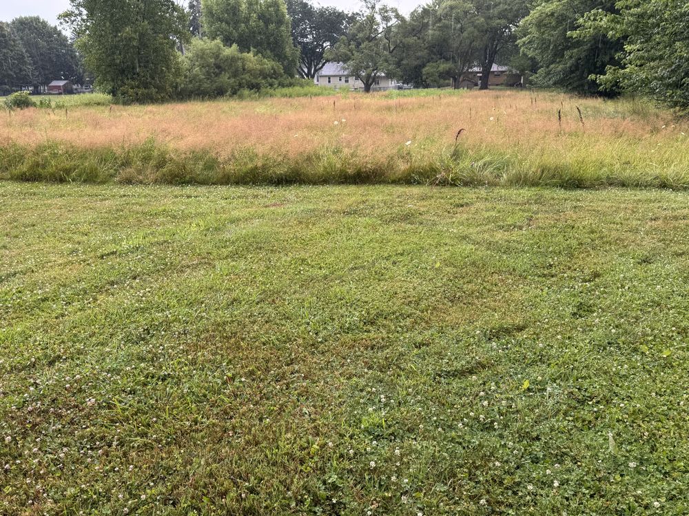 Landscaping Lawn Care for Daugherty's Tough Lawn Care in Essexville, MI