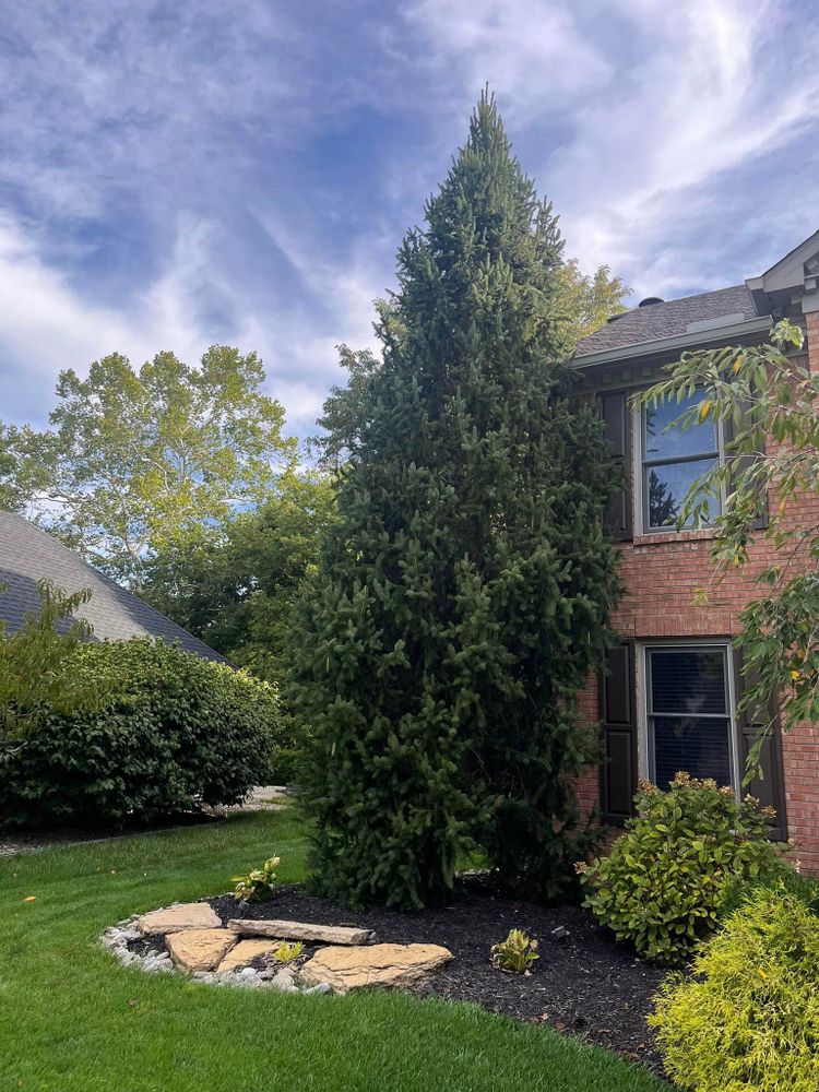 All Photos for Cincinnati’s Finest Landscape Services LLC in Cincinnati, OH