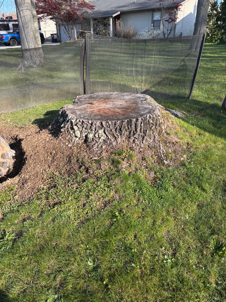 All Photos for Dean's Stump Removal in Youngstown, OH