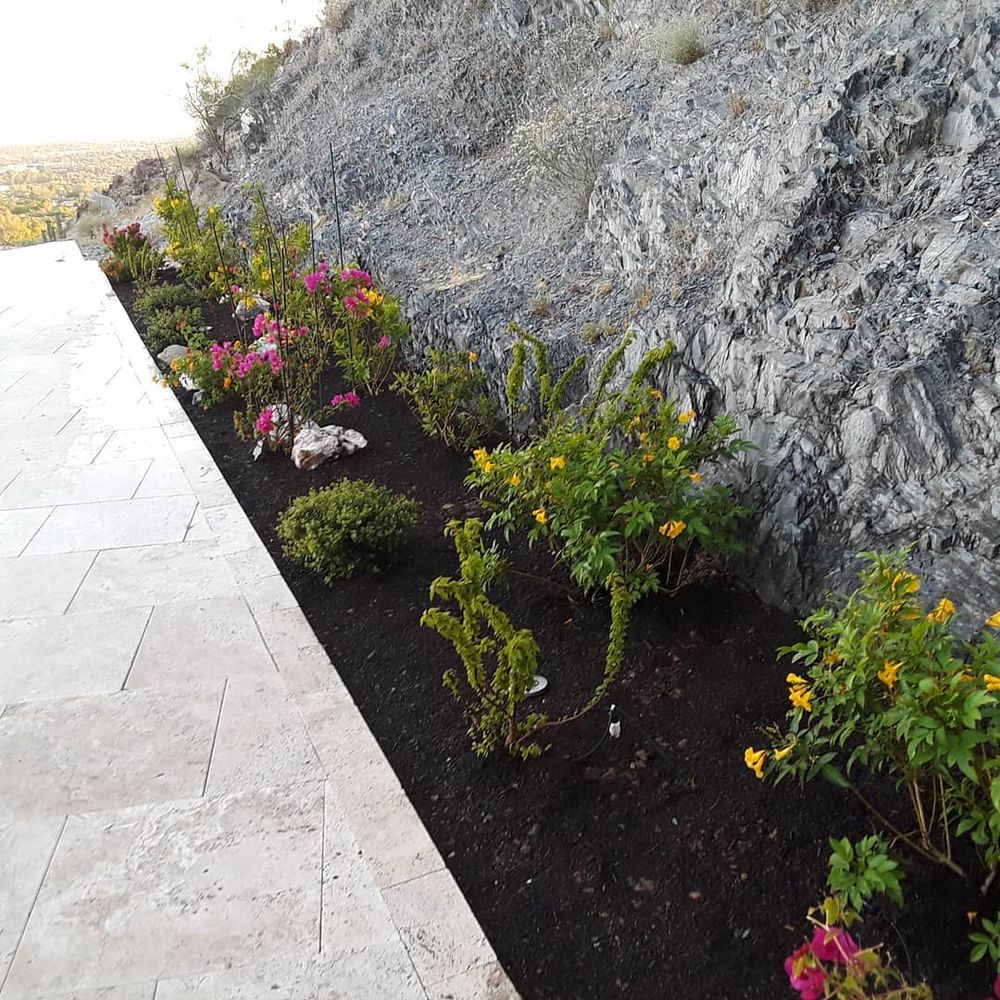 All Photos for CRAJE Landscaping LLC in Mesa, AZ
