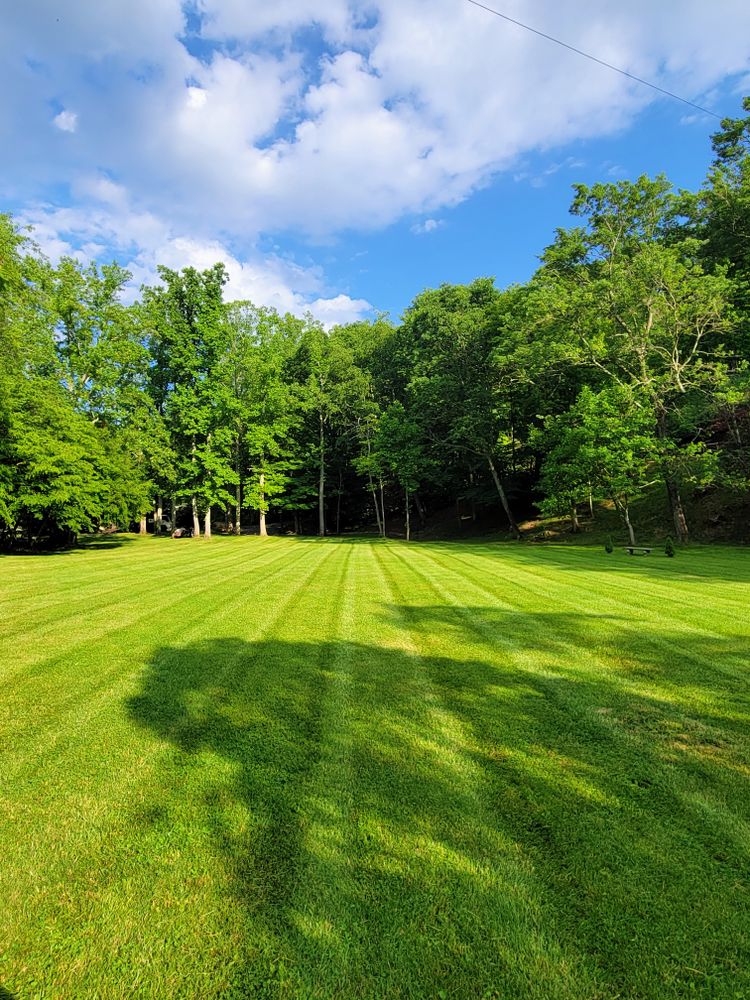 Lawn Maintenance  for C4 TrueVision Renovations in Asheville, NC