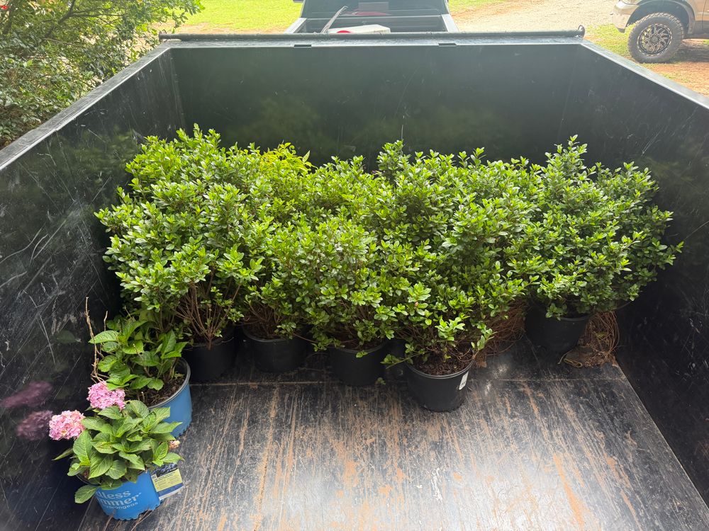 All Photos for Southern Outdoors Landscaping in Covington, GA