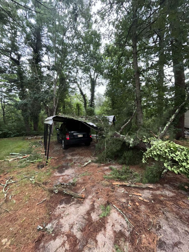 Storm Clean-up for Robery's Tree Service in West Wareham, MA