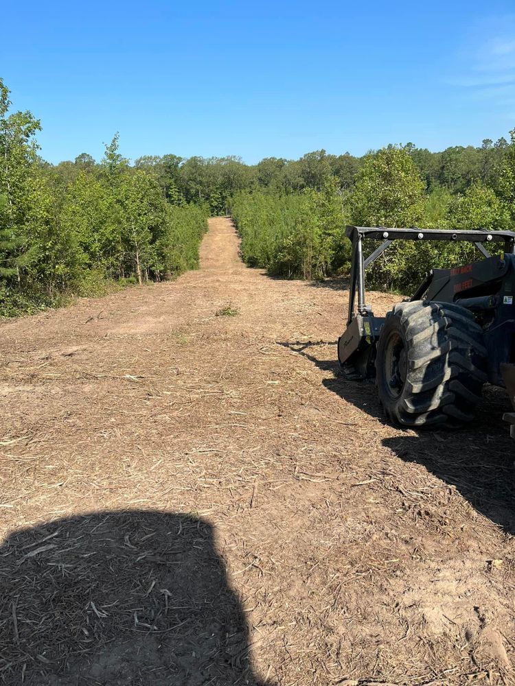 Land Clearing for Bass Land Management in Yellville, AR