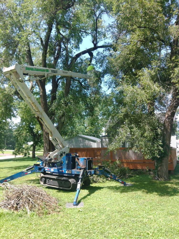 All Photos for Mitchell Tree Company in Lathrop, MO