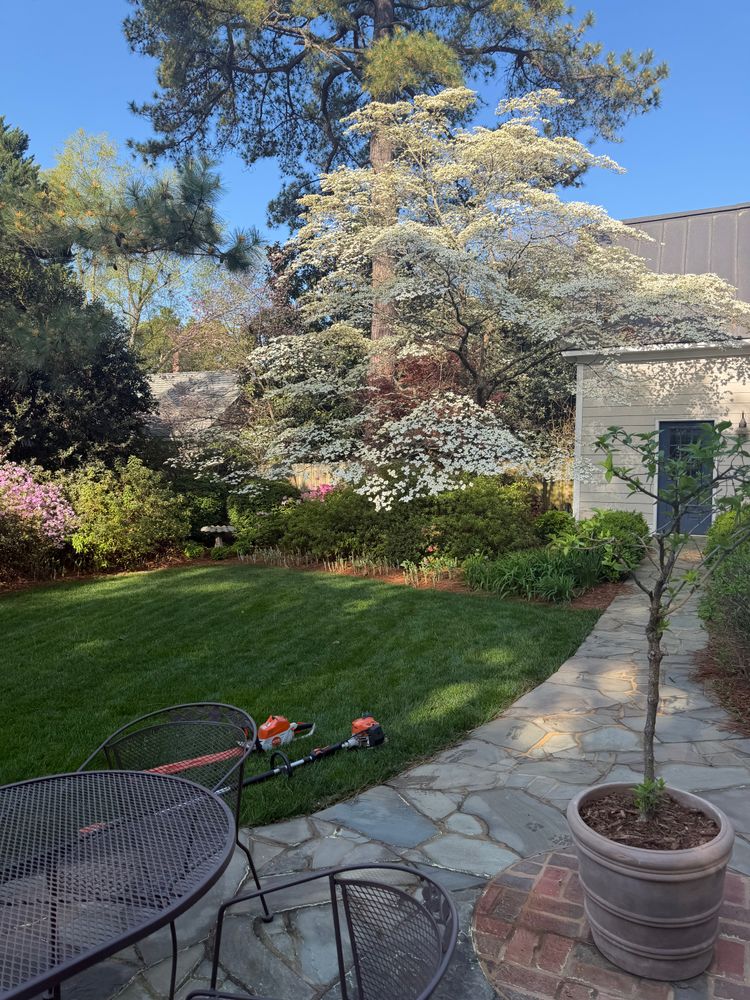 All Photos for Rawls Tree Care in Richmond, VA