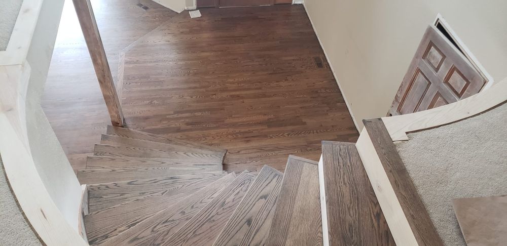 Interior Renovations for Opus Durum in Denver, CO