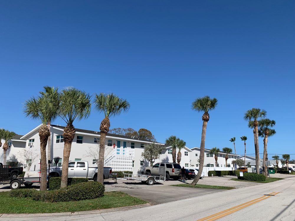 Our Tree Trimming service enhances the health and appearance of your trees, ensuring safety and longevity by expertly removing dead or overgrown branches while promoting overall growth. for Space Coast Property Maintenance and Management LLC in Melbourne, FL