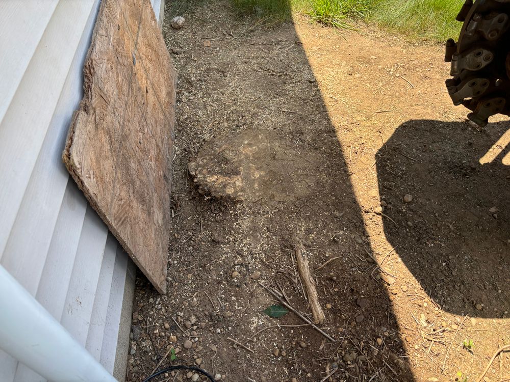 All Photos for Conrad's Stump Removal in Columbus, IN