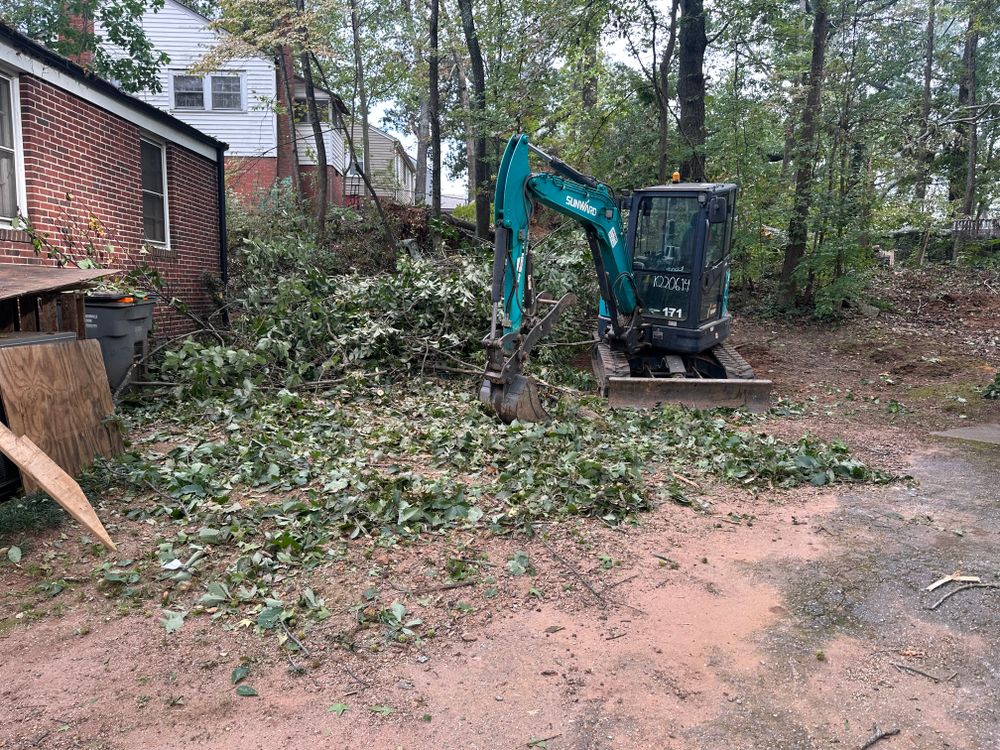 Tree Removal for Rescue Grading & Landscaping in Marietta, SC