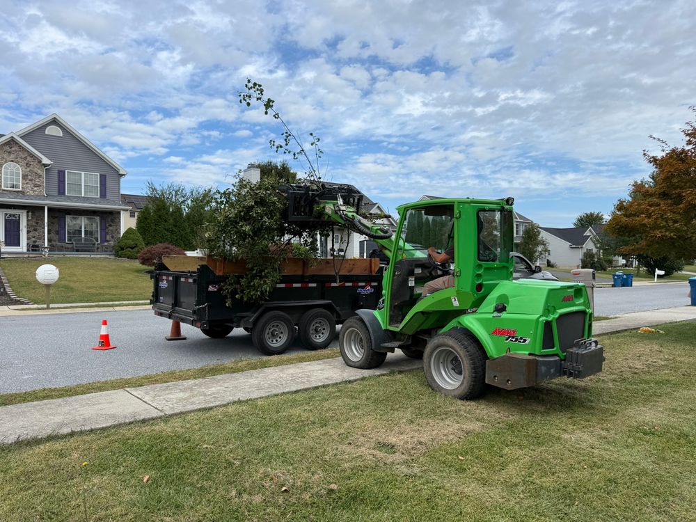 Tree Services for Wiley Landscape Design in York, PA