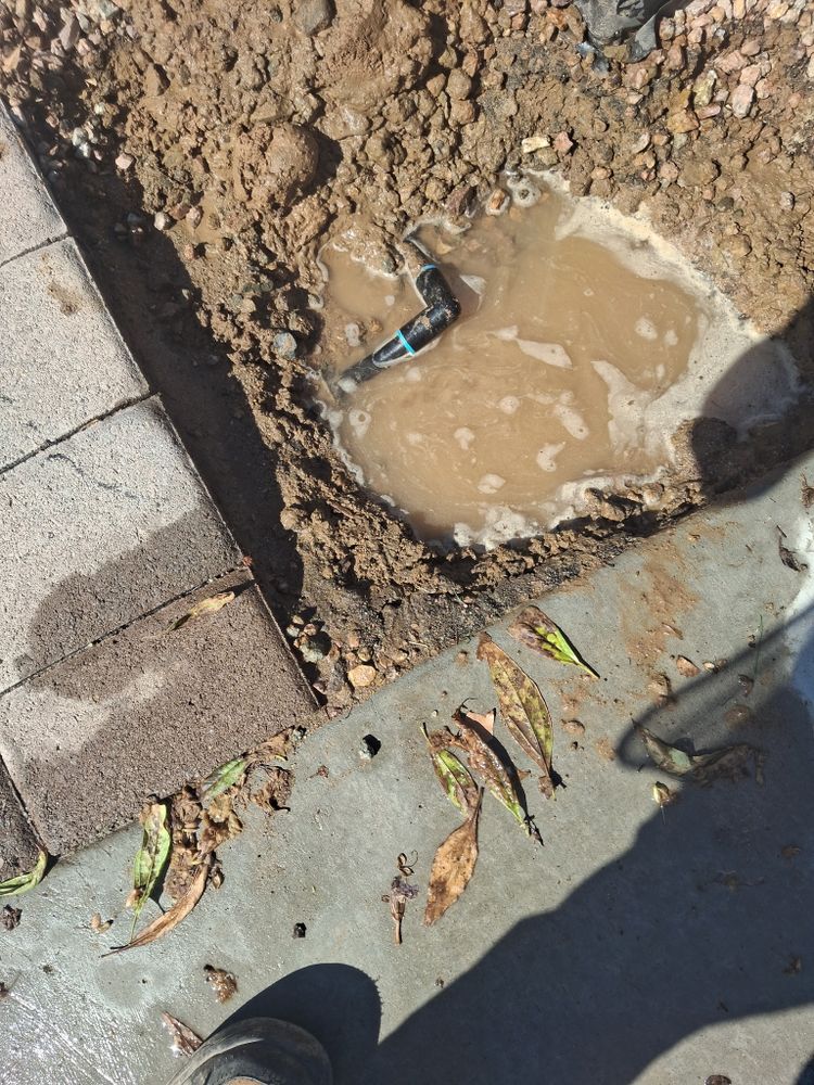 All Photos for Family Landscaping in Phoenix, AZ