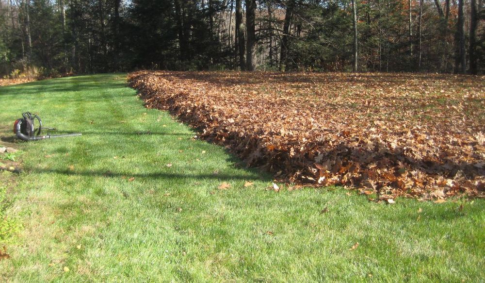 Our Fall Clean Up service ensures your yard is immaculate and prepared for winter, including leaf removal, branch trimming, and debris clearing to maintain a healthy landscape all season long. for Lamb Brothers Land Clearing in Murray, KY