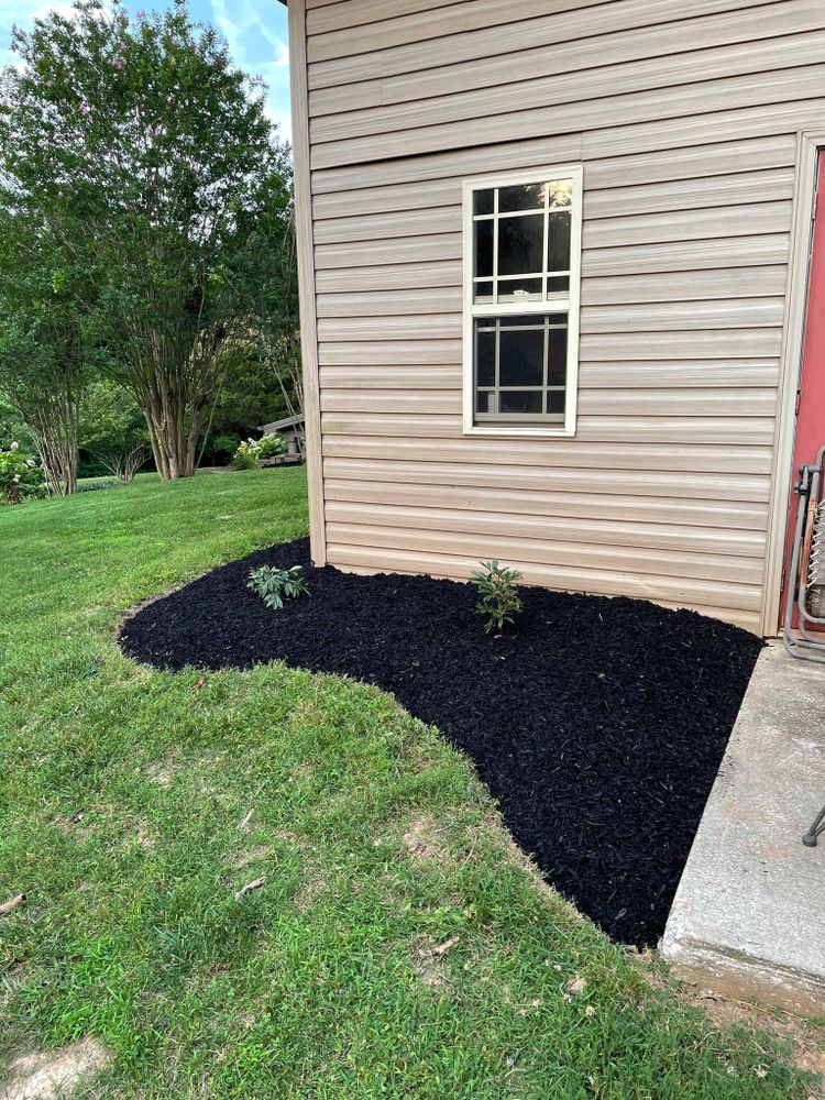 Landscaping for Transforming Landscaping & Tree Service in Bowling Green, KY