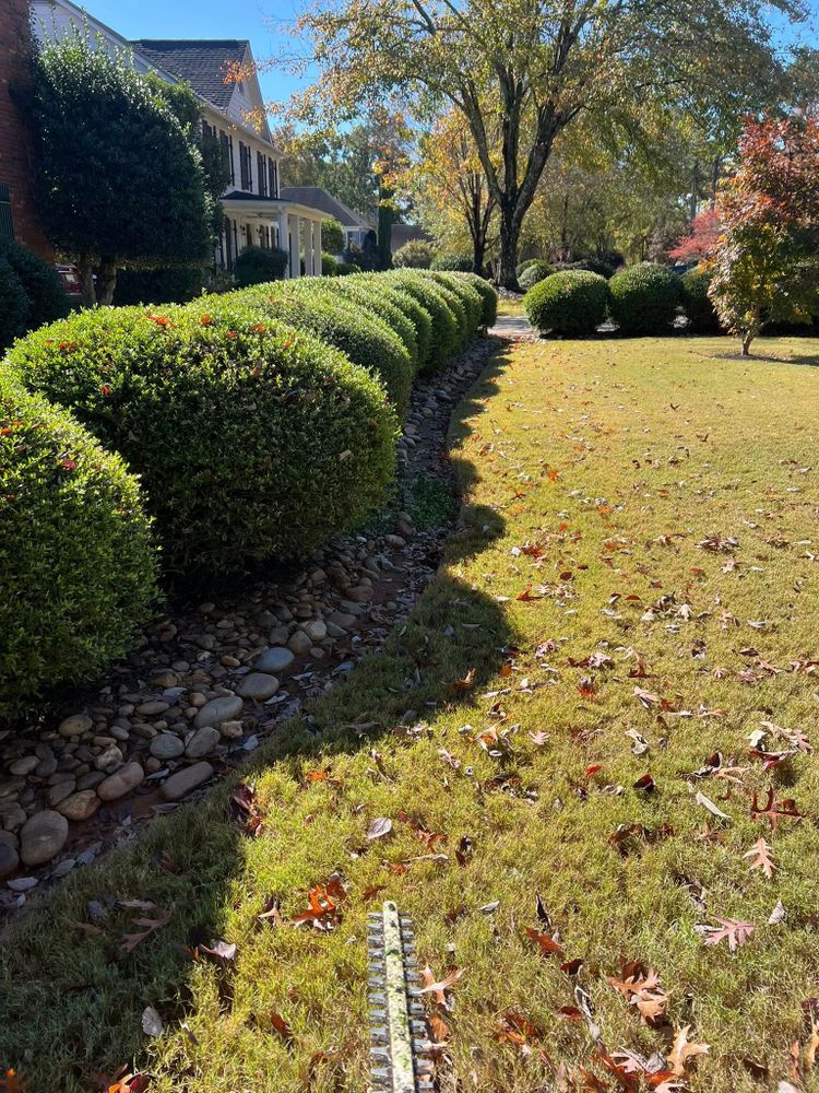 All Photos for Countryside lawn pros in Upstate, SC