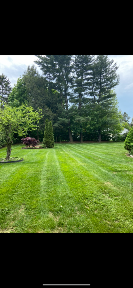 Lawn Maintenance  for Ace Landscaping in Trumbull, CT