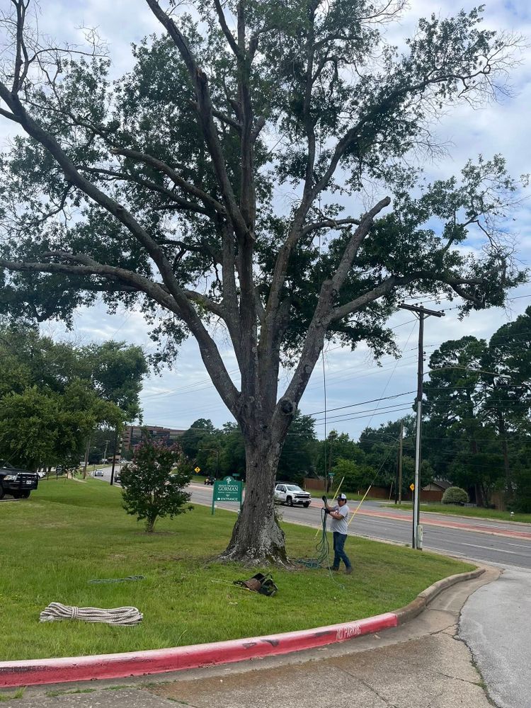 All Photos for JC Land and Tree Service in Kilgore, TX