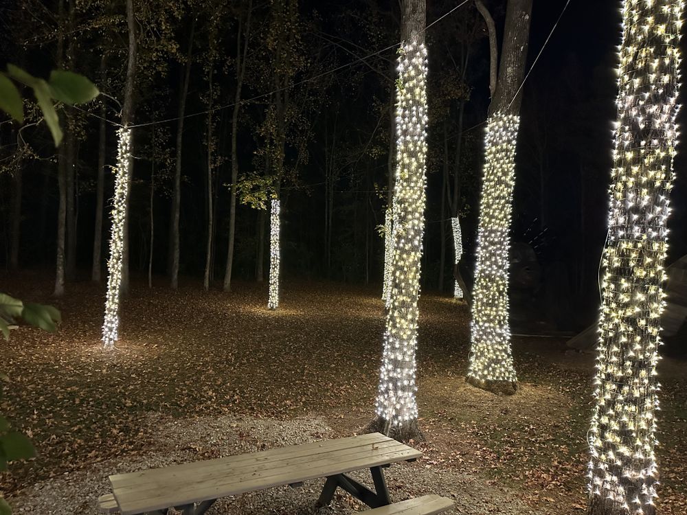 All Photos for Holiday Lighting Solutions in Huntsville, AL