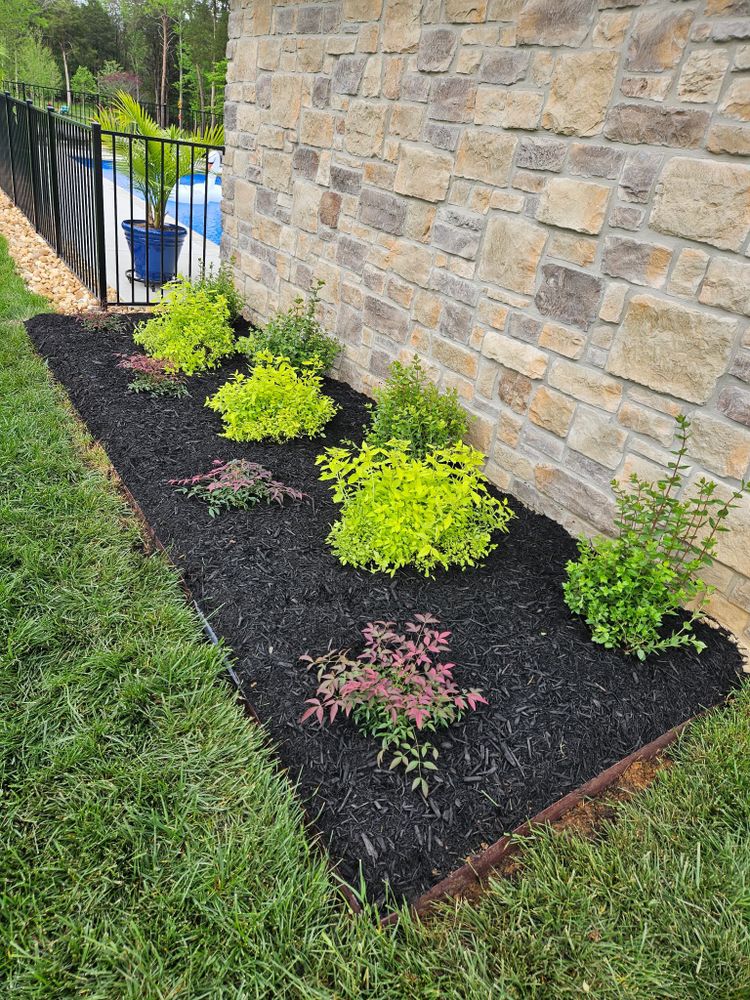 Discover the full range of services at our Land Clearing company, including exceptional carpet cleaning, ensuring your home is as spotless inside as it is outside. Explore what we offer today! for S&M DIRT TECH LLC in Knoxville, TN