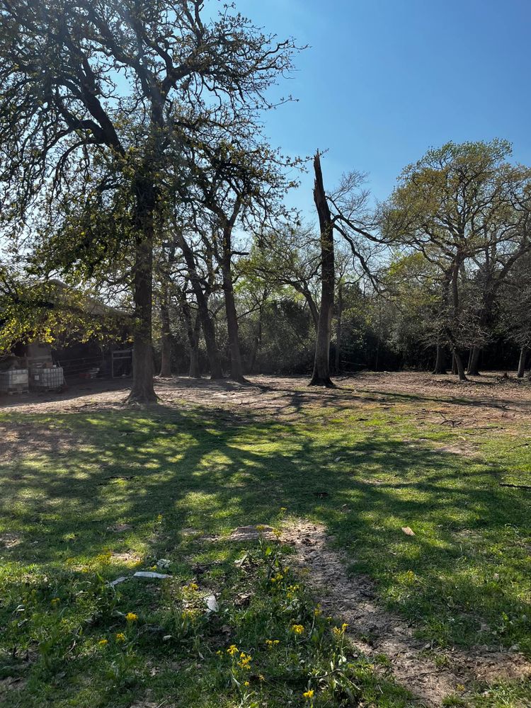 Our expert tree trimming service enhances your property's beauty, ensures tree health, and prevents potential hazards, providing safety and aesthetic improvements with precise cuts tailored to each unique landscape. for H3 Land Management in Centerville, TX